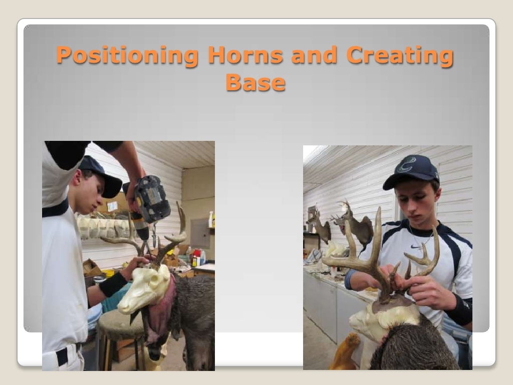 Research mannikins lebanon or picture