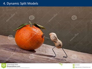 4. Dynamic Split Models
 