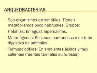  Son organismos extremófilos. Tienen 
metabolismos poco habituales. Grupos: 
 Halófilas: En aguas hipersalinas. 
 Metanógenas: En zonas pantanosas o en tubo 
digestivo de animales. 
 Termoacidófilas: En ambientes ácidos y muy 
calientes (fuentes termales sulfurosas) 
 