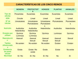 CARACTERÍSTICAS DE LOS CINCO REINOS 
MONERA PROTOCTIST 
A 
HONGOS PLANTAS ANIMALES 
Tipo de 
células 
Procariotas Eucariotas Eucariotas Eucariotas Eucariotas 
ADN Circular Lineal Lineal Lineal Lineal 
Nº de 
Unicelulares Unicelulares 
células 
Pluricelulares 
Unicelulares 
Pluricelulare 
s 
Pluricelulares Pluricelulare 
s 
Nutrición Autótrofos 
Heterótrofos 
Autótrofos 
Heterótrofos 
Heterótrofos Autótrofos Heterótrofos 
Energía que 
utilizan 
Química 
Luminosa 
Química 
Luminosa 
Química Luminosa Química 
Reproducció 
n 
Asexual Asexual 
Sexual 
Asexual 
Sexual 
Asexual 
Sexual 
Sexual 
Tejidos 
diferenciado 
s 
No existen No existen No existen Existen Existen 
Existencia 
de pared 
celular 
Existe Existe / No 
existe 
Existe Existe No existe 
Movilidad Sí / No Sí / No Sí / No No Sí 
 