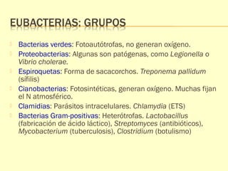  Bacterias verdes: Fotoautótrofas, no generan oxígeno. 
 Proteobacterias: Algunas son patógenas, como Legionella o 
Vibrio cholerae. 
 Espiroquetas: Forma de sacacorchos. Treponema pallidum 
(sífilis) 
 Cianobacterias: Fotosintéticas, generan oxígeno. Muchas fijan 
el N atmosférico. 
 Clamidias: Parásitos intracelulares. Chlamydia (ETS) 
 Bacterias Gram-positivas: Heterótrofas. Lactobacillus 
(fabricación de ácido láctico), Streptomyces (antibióticos), 
Mycobacterium (tuberculosis), Clostridium (botulismo) 
 