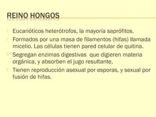  Eucarióticos heterótrofos, la mayoría saprófitos. 
 Formados por una masa de filamentos (hifas) llamada 
micelio. Las células tienen pared celular de quitina. 
 Segregan enzimas digestivas que digieren materia 
orgánica, y absorben el jugo resultante. 
 Tienen reproducción asexual por esporas, y sexual por 
fusión de hifas. 
 