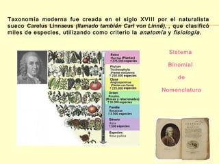 Taxonomía moderna fue creada en el siglo XVIII por el naturalista 
sueco Carolus Linnaeus (llamado tambié n Carl von Linné ), , que clasificó 
miles de especies, utilizando como criterio la anatomía y fisiología. 
Sistema 
Binomial 
de 
Nomenclatura 
 