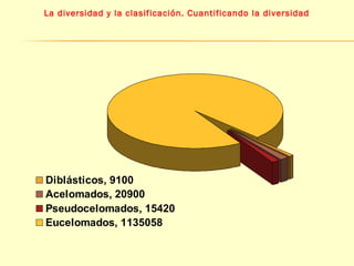 La diversidad y la clasificación. Cuantificando la diversidad 
Diblásticos, 9100 
Acelomados, 20900 
Pseudocelomados, 15420 
Eucelomados, 1135058 
 
