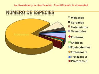 La diversidad y la clasificación. Cuantificando la diversidad 
Artrópodos 
Moluscos 
Cordados 
Platelmintos 
Nematodos 
Poriferos 
Anélidos 
Equinodermos 
Protozoos 1 
Protozoos 2 
Protozoos 3 
 