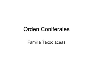 Orden Coniferales

 Familia Taxodiaceas
 