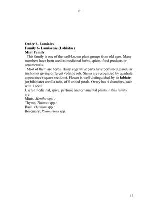 17




Order 6- Lamiales
Family 6- Lamiaceae (Labiatae)
Mint Family
  This family is one of the well-known plant groups from old ages. Many
members have been used as medicinal herbs, spices, food products or
ornamentals.
  Most of them are herbs. Hairy vegetative parts have perfumed glandular
trichomes giving different volatile oils. Stems are recognized by quadrate
appearance (square sections). Flower is well distinguished by its labiate
(or bilabiate) corolla tube, of 5 united petals. Ovary has 4 chambers, each
with 1 seed.
Useful medicinal, spice, perfume and ornamental plants in this family
are:
Mints, Mentha spp. ;
Thyme, Thumus spp.;
Basil, Ocimum spp.;
Rosemary, Rosmarinus spp.




                                                                         17
 