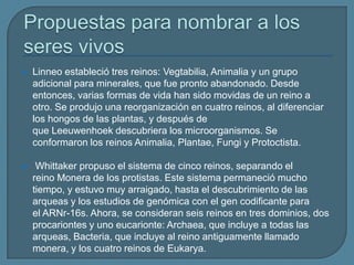  Linneo estableció tres reinos: Vegtabilia, Animalia y un grupo
adicional para minerales, que fue pronto abandonado. Desde
entonces, varias formas de vida han sido movidas de un reino a
otro. Se produjo una reorganización en cuatro reinos, al diferenciar
los hongos de las plantas, y después de
que Leeuwenhoek descubriera los microorganismos. Se
conformaron los reinos Animalia, Plantae, Fungi y Protoctista.
 Whittaker propuso el sistema de cinco reinos, separando el
reino Monera de los protistas. Este sistema permaneció mucho
tiempo, y estuvo muy arraigado, hasta el descubrimiento de las
arqueas y los estudios de genómica con el gen codificante para
el ARNr-16s. Ahora, se consideran seis reinos en tres dominios, dos
procariontes y uno eucarionte: Archaea, que incluye a todas las
arqueas, Bacteria, que incluye al reino antiguamente llamado
monera, y los cuatro reinos de Eukarya.
 