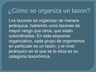 Los taxones se organizan de manera
jerárquica, habiendo unos taxones de
mayor rango que otros, que están
subordinados. En este esquema
organizativo, cada grupo de organismos
en particular es un taxón, y el nivel
jerárquico en el que se lo sitúa es su
categoría taxonómica.
 