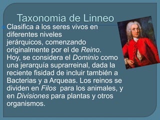 Clasifica a los seres vivos en
diferentes niveles
jerárquicos, comenzando
originalmente por el de Reino.
Hoy, se considera el Dominio como
una jerarquía suprarreinal, dada la
reciente fisidad de incluir también a
Bacterias y a Arqueas. Los reinos se
dividen en Filos para los animales, y
en Divisiones para plantas y otros
organismos.
 