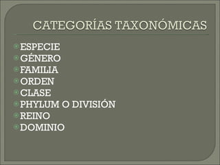 ESPECIE GÉNERO FAMILIA ORDEN CLASE PHYLUM O DIVISIÓN REINO DOMINIO 