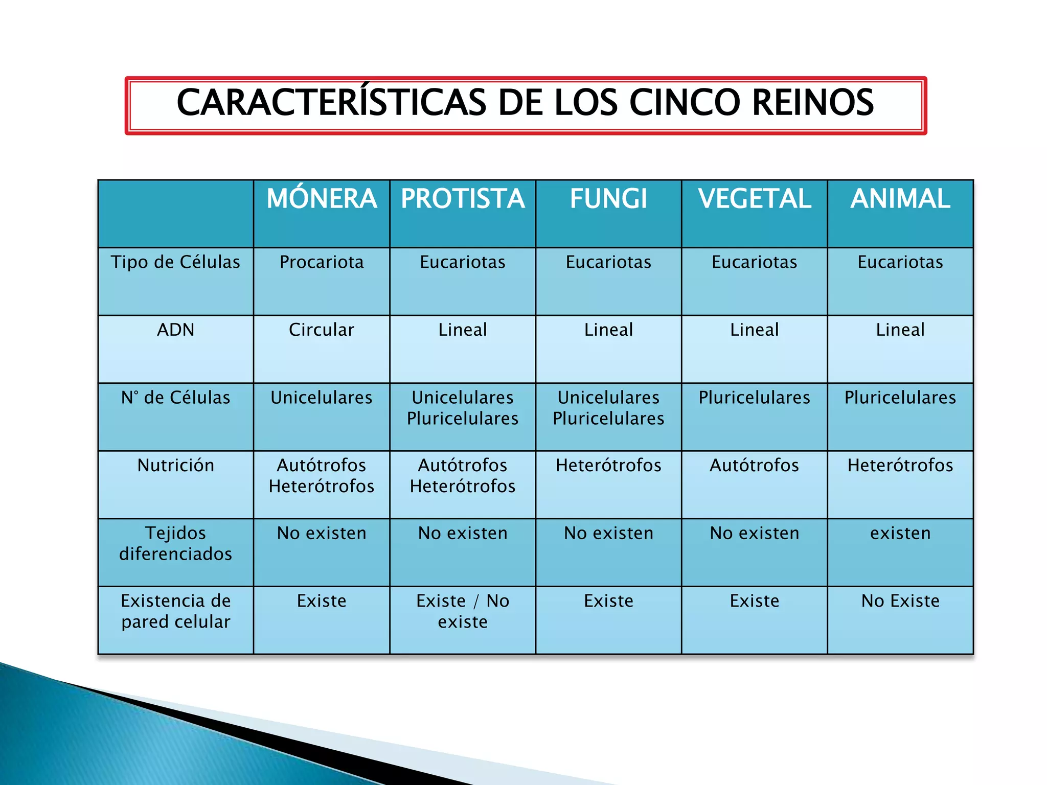 Evolución, taxonomía y reino mónera | PPTX