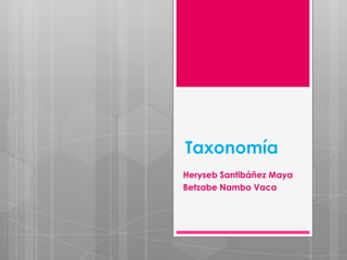 Taxonomía
Heryseb Santibáñez Maya
Betzabe Nambo Vaca
 