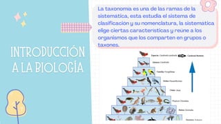 La taxonomía es una de las ramas de la
sistemática, esta estudia el sistema de
clasificación y su nomenclatura, la sistemá...