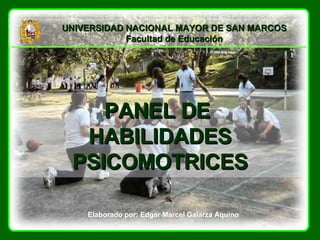 PANEL DE  HABILIDADES PSICOMOTRICES Elaborado por: Edgar Marcel Galarza Aquino 