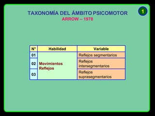 TAXONOMÍA DEL ÁMBITO PSICOMOTOR ARROW – 1978 1 Reflejos suprasegmentarios 03 Reflejos intersegmentarios 02 Reflejos segmentarios Movimientos Reflejos 01 Variable Habilidad N°