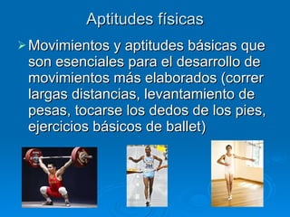 Aptitudes físicas Movimientos y aptitudes básicas que son esenciales para el desarrollo de movimientos más elaborados (correr largas distancias, levantamiento de pesas, tocarse los dedos de los pies, ejercicios básicos de ballet) 