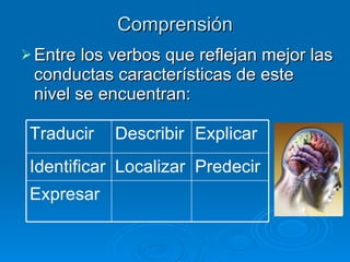 Comprensión Entre los verbos que reflejan mejor las conductas características de este nivel se encuentran:  Expresar Predecir Localizar Identificar Explicar Describir Traducir 
