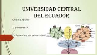 Universidad Central
del Ecuador
Cristina Aguilar
2° semestre “A”
La Taxonomía del reino animal
 