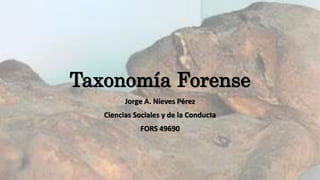 Taxonomía Forense
Jorge A. Nieves Pérez
Ciencias Sociales y de la Conducta
FORS 49690
 