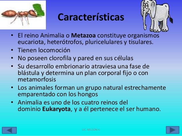 Taxonomía y características de los seres vivos