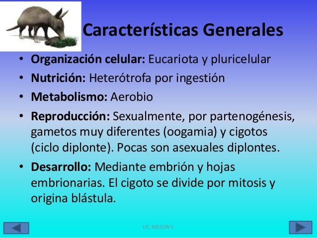 Como hackear como cambiar el metabolismo para adelgazar