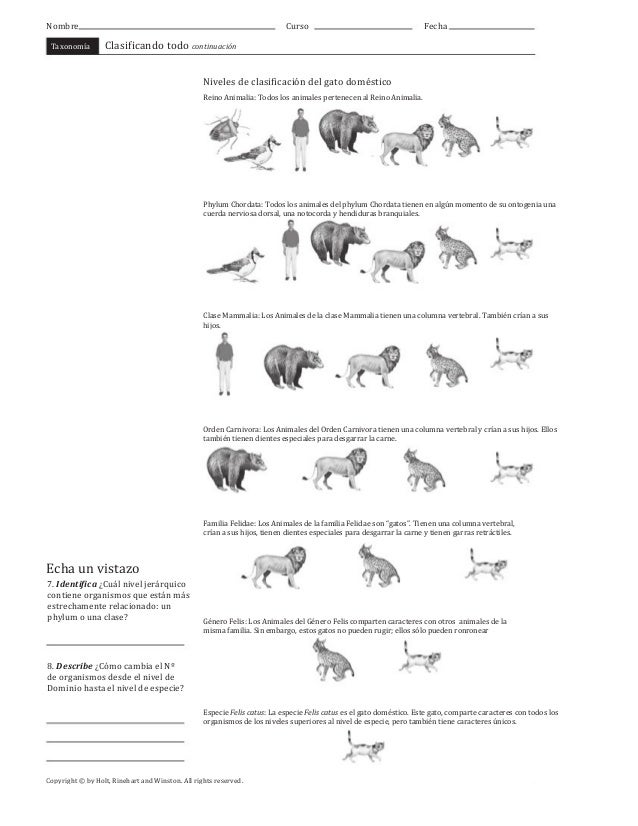 Taxonomía y claves dicotómicas guía