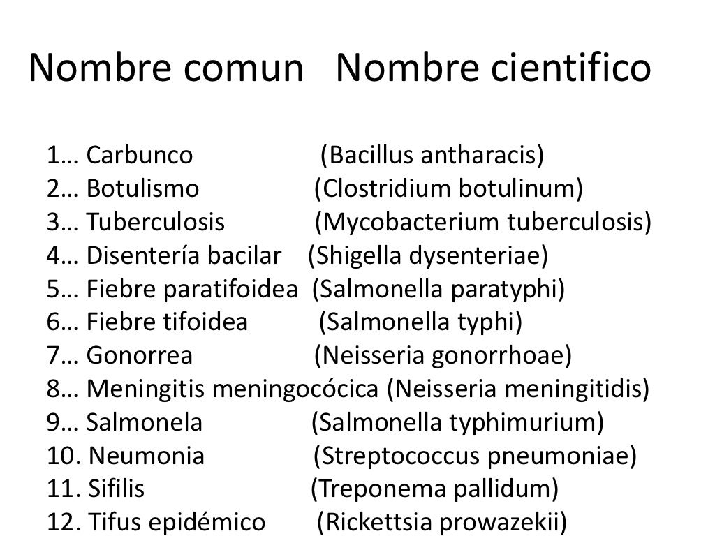 Taxonomía y nomenclatura bacteriana