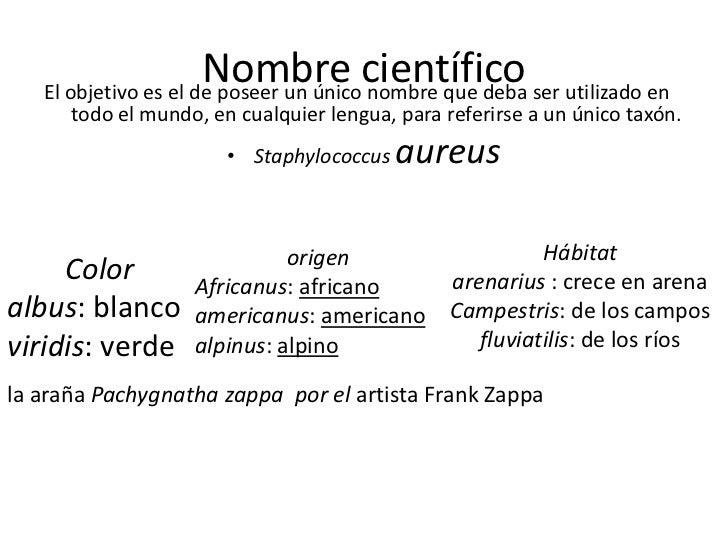 Taxonomía y nomenclatura bacteriana