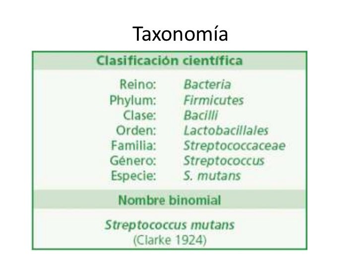 Taxonomía y nomenclatura bacteriana
