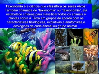 Taxonomia  é a ciência que  classifica os seres vivos . Também chamada de “taxionomia” ou “taxeonomia”, ela estabelece critérios para classificar todos os animais e plantas sobre a Terra em grupos de acordo com as características fisiológicas, evolutivas e anatômicas e ecológicas de cada animal ou grupo animal.  