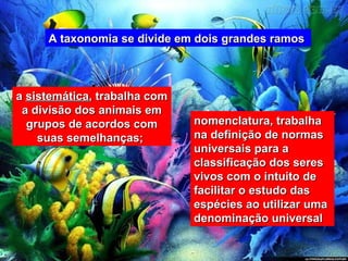 A taxonomia se divide em dois grandes ramos  a  sistemática , trabalha com a divisão dos animais em grupos de acordos com suas semelhanças;  nomenclatura, trabalha na definição de normas universais para a classificação dos seres vivos com o intuito de facilitar o estudo das espécies ao utilizar uma denominação universal  