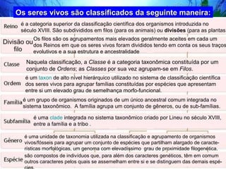 Os seres vivos são classificados da seguinte maneira: é a categoria superior da classificação científica dos organismos introduzida no  século XVIII. São subdivididos em filos (para os animais) ou  divisões  (para as plantas).  Os filos são os agrupamentos mais elevados geralmente aceites em cada um  dos Reinos em que os seres vivos foram divididos tendo em conta os seus traços evolutivos e a sua estrutura e ancestralidade  Naquela classificação, a  Classe  é a categoria taxonômica constituída por um conjunto de  Ordens ; as  Classes  por sua vez agrupam-se em  Filos . é um  taxon  de alto nível hierárquico utilizado no sistema de classificação científica dos seres vivos para agrupar famílias constituídas por espécies que apresentam entre si um elevado grau de semelhança morfo-funcional.  é um grupo de organismos originados de um único ancestral comum integrada no  sistema taxonômico.  A família agrupa um conjunto de gêneros, ou de sub-famílias.  é uma  clade  integrada no sistema taxonômico criado por Lineu no século XVIII,  entre a família e a tribo .  é uma unidade de taxonomia utilizada na classificação e agrupamento de organismos vivos/fósseis para agrupar um conjunto de espécies que partilham alargado de caracte-rísticas morfológicas, um genoma com elevadíssimo  grau de proximidade filogenética. são compostos de indivíduos que, para além dos caracteres genéticos, têm em comum outros caracteres pelos quais se assemelham entre si e se distinguem das demais espé-cies.  