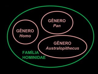 GÊNERO
                 Pan
GÊNERO
 Homo
                 GÊNERO
              Australopithecus
  FAMÍLIA
  HOMINIDAE
 