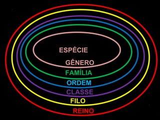 ESPÉCIE
 GÊNERO
 FAMÍLIA
 ORDEM
 CLASSE
  FILO
   REINO
 