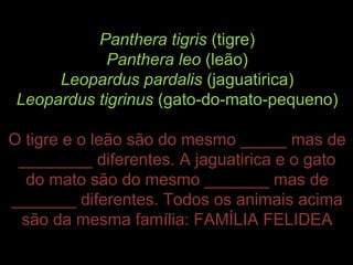 Panthera tigris (tigre)
             Panthera leo (leão)
      Leopardus pardalis (jaguatirica)
 Leopardus tigrinus (gato-do-mato-pequeno)

O tigre e o leão são do mesmo _____ mas de
 ________ diferentes. A jaguatirica e o gato
  do mato são do mesmo _______ mas de
_______ diferentes. Todos os animais acima
 são da mesma família: FAMÍLIA FELIDEA
 