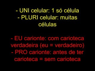 - UNI celular: 1 só célula
  - PLURI celular: muitas
          células

- EU carionte: com carioteca
verdadeira (eu = verdadeiro)
- PRO carionte: antes de ter
  carioteca = sem carioteca
 