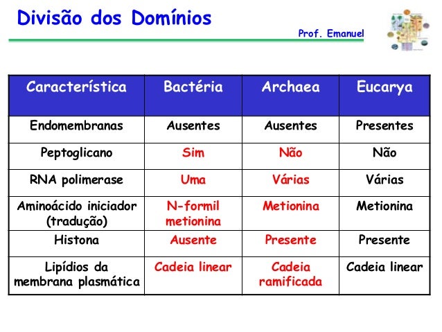 Taxonomia - 3. ano e turmas extensivas