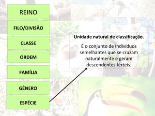 REINO

FILO/DIVISÃO
               Unidade natural de classificação.
  CLASSE
                  É o conjunto de indivíduos
                 semelhantes que se cruzam
  ORDEM             naturalmente e geram
                     descendentes férteis.
  FAMÍLIA


  GÊNERO

  ESPÉCIE
 