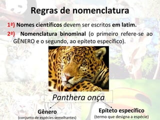 Regras de nomenclatura
1ª) Nomes científicos devem ser escritos em latim.
2ª) Nomenclatura binominal (o primeiro refere-se ao
  GÊNERO e o segundo, ao epíteto específico).




                      Panthera onça
              Gênero                      Epíteto específico
   (conjunto de espécies semelhantes)   (termo que designa a espécie)
 
