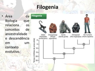 Filogenia
• Área          da
  Biologia    que
  relaciona     os
  conceitos     de
  ancestralidade
  e descendência
  em           um
  contexto
  evolutivo.
 