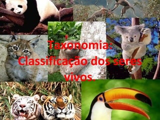 Taxonomia:
Classificação dos seres
         vivos.
 