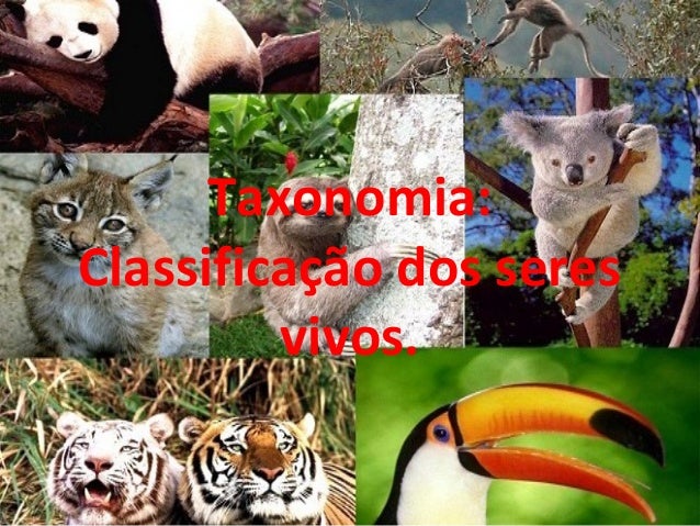 Taxonomia:Classificação dos seres         vivos. 