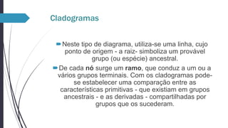 Cladogramas
Neste tipo de diagrama, utiliza-se uma linha, cujo
ponto de origem - a raiz- simboliza um provável
grupo (ou espécie) ancestral.
De cada nó surge um ramo, que conduz a um ou a
vários grupos terminais. Com os cladogramas podese estabelecer uma comparação entre as
características primitivas - que existiam em grupos
ancestrais - e as derivadas - compartilhadas por
grupos que os sucederam.

 
