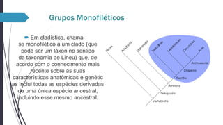 Grupos Monofiléticos
 Em cladística, chamase monofilético a um clado (que
pode ser um táxon no sentido
da taxonomia de Lineu) que, de
acordo com o conhecimento mais
recente sobre as suas
características anatômicas e genétic
as inclui todas as espécies derivadas
de uma única espécie ancestral,
incluindo esse mesmo ancestral.

 