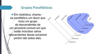 Grupos Parafiléticos
Em cladística, chamase parafilético um táxon que
inclui um grupo
de descendentes de
um ancestral comum em que
estão incluídos vários
descendentes desse ancestral
porém não todos eles.

 