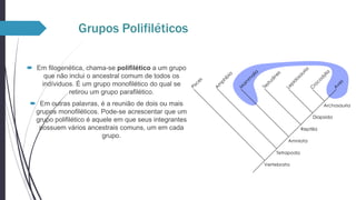 Grupos Polifiléticos
 Em filogenética, chama-se polifilético a um grupo
que não inclui o ancestral comum de todos os
indíviduos. É um grupo monofilético do qual se
retirou um grupo parafilético.
 Em outras palavras, é a reunião de dois ou mais
grupos monofiléticos. Pode-se acrescentar que um
grupo polifilético é aquele em que seus integrantes
possuem vários ancestrais comuns, um em cada
grupo.

 