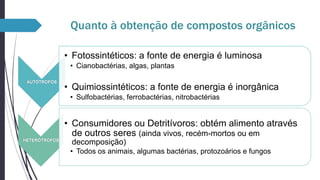 Quanto à obtenção de compostos orgânicos
• Fotossintéticos: a fonte de energia é luminosa
• Cianobactérias, algas, plantas
AUTÓTROFOS

• Quimiossintéticos: a fonte de energia é inorgânica
• Sulfobactérias, ferrobactérias, nitrobactérias

• Consumidores ou Detritívoros: obtém alimento através
de outros seres (ainda vivos, recém-mortos ou em
HETERÓTROFOS

decomposição)
• Todos os animais, algumas bactérias, protozoários e fungos

 
