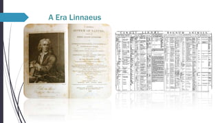 A Era Linnaeus

 