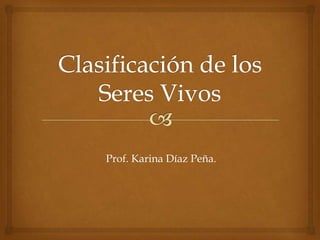 Prof. Karina Díaz Peña.
 
